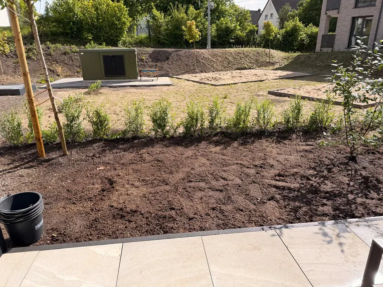 Garten-Neuanlage mit frisch gepflanztem Baum, neuer Hecke und Terrasse