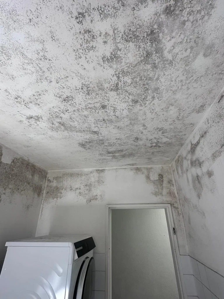 Massiver Schimmelbefall an Decke und Wänden eines Waschraums vor der Sanierung