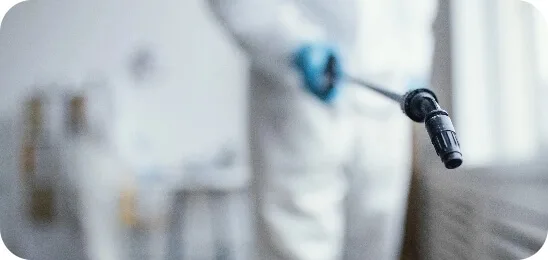 Person sprüht Desinfektionsmittel mit Sprühgerät zur Reinigung von Oberflächen