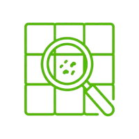 Icon Schimmelsanierung Köln – Lupe untersucht Wandfliesen auf Schimmelbefall